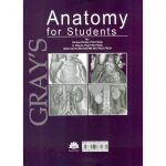خرید کتاب آناتومی گری برای دانشجویان جلد 1 تنه ویراست چهارم 2020 ابن سینا