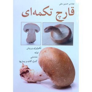 قیمت کتاب قارچ دکمه ای تالیف حسین متقی نشر آییژ