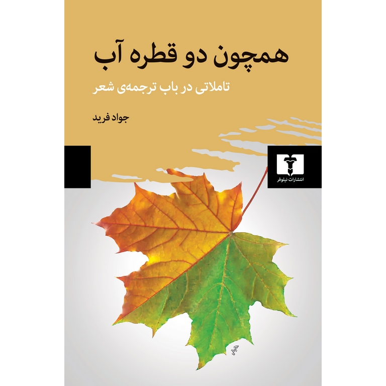 همچون دو قطره آب