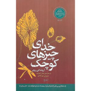 خدای چیزهای کوچک