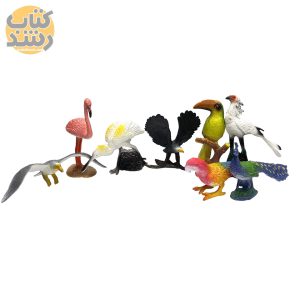 قیمت و خرید اسباب بازی باغ وحش پرندگان 8 عددی (متوسط)